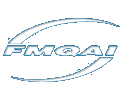 FMQAI Website Link